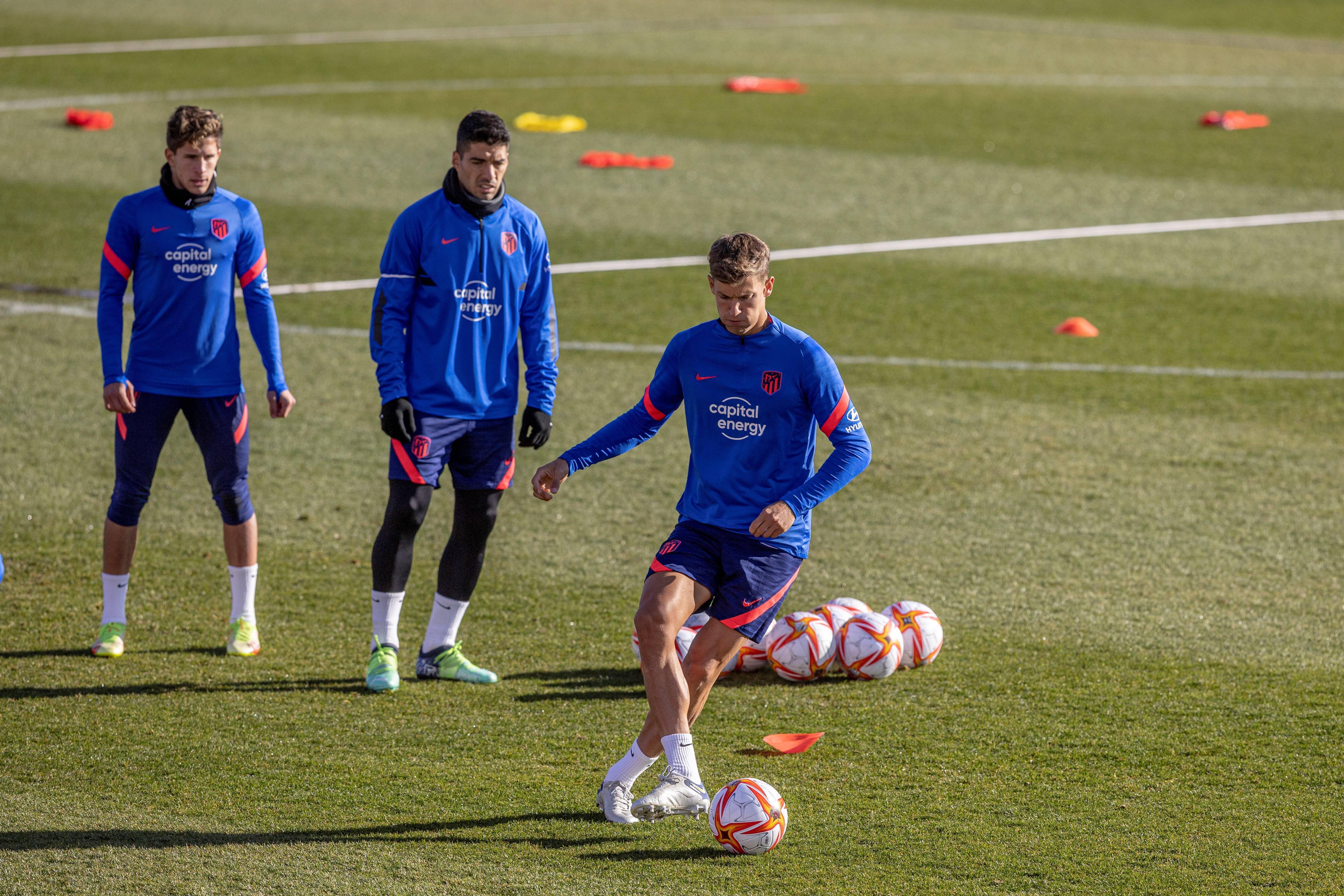 关于集结日孟菲斯灰熊备战国王杯，战术微调细节曝光，引发热议，高层口径保持一致的信息-爱游戏在线登录